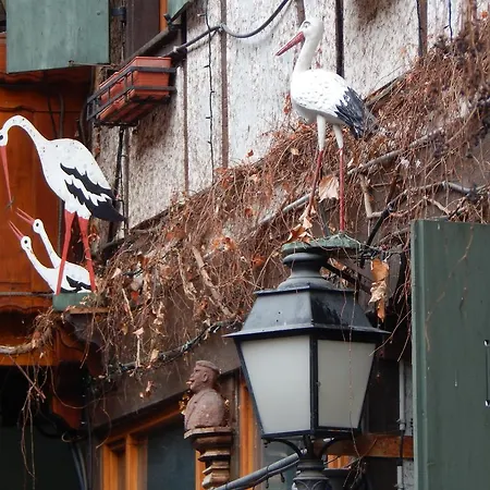 Au Coup De Coeur Κολμάρ